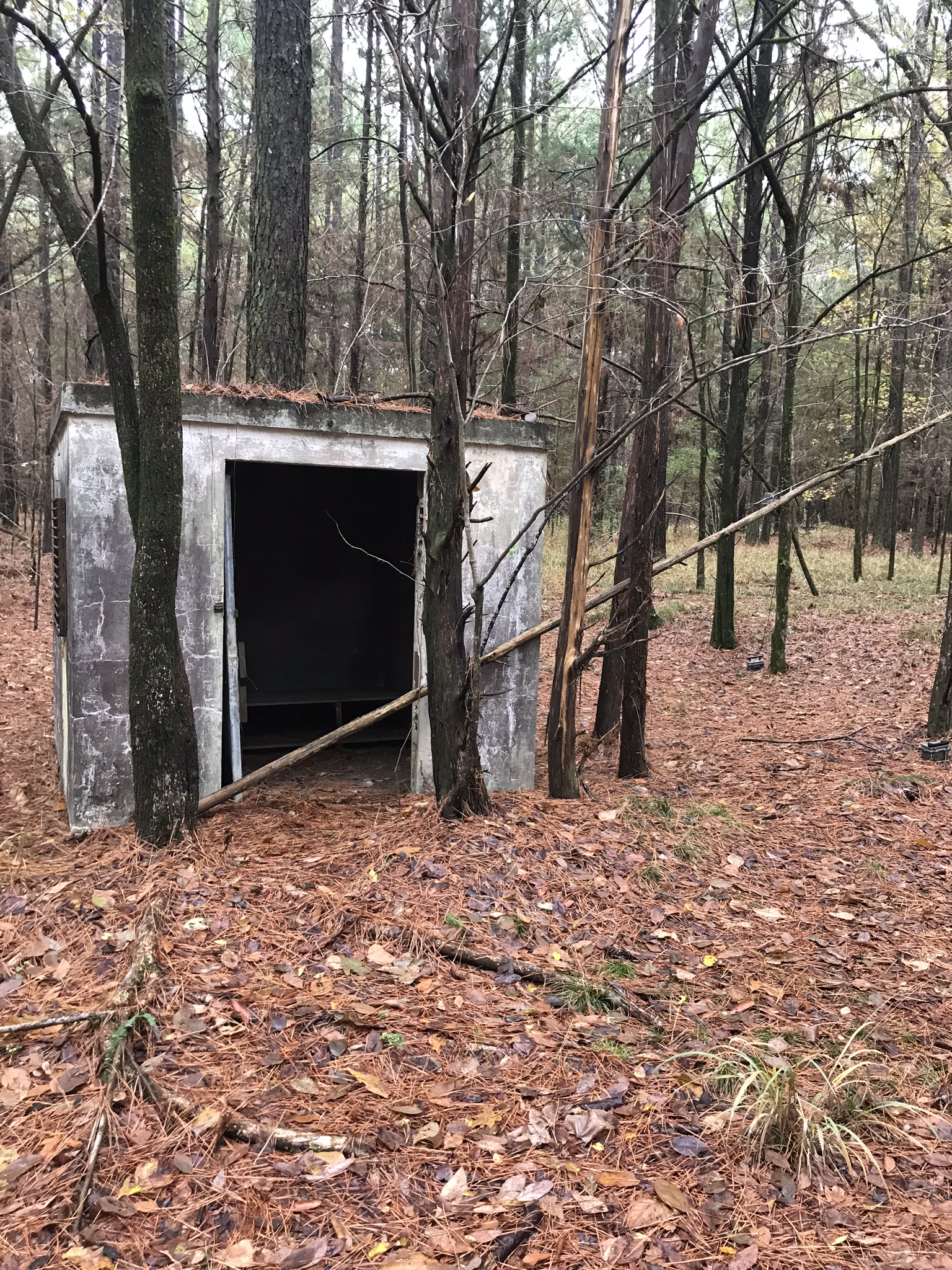 1 Snake Shed in autum